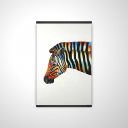 Colorful zebra