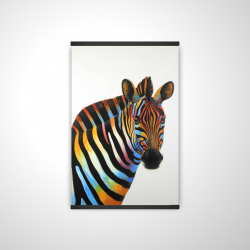 Colorful profile view of a zebra