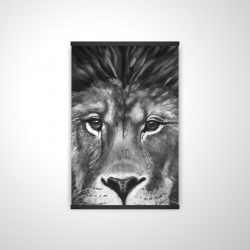 Lion portrait