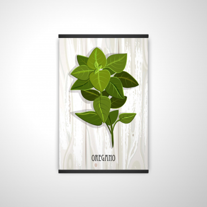 Oregano on wood