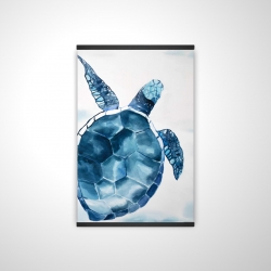 Tortue bleu