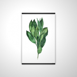 Bouquet de feuilles de laurier