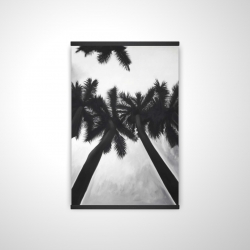 Monochrome palm trees