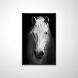 Monochrome horse