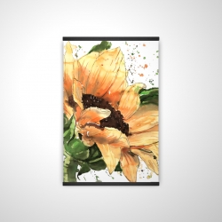 Sunflower in bloom