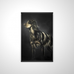 Picard spaniel