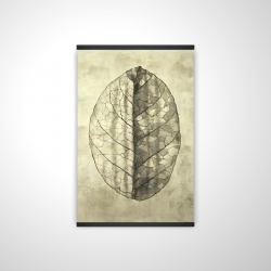 Translucent