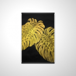 Gold monstera
