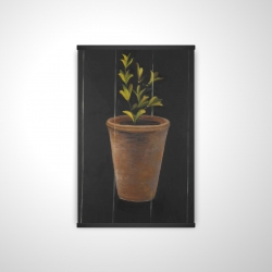 Plant of marjolaine