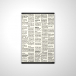 Newspaper