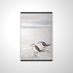 Deux oiseaux bécasseau