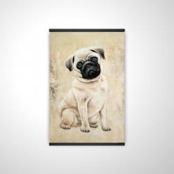 Small pug dog