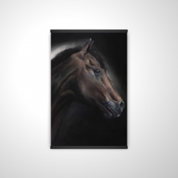 Cheval solitude