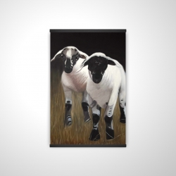 Two lambs