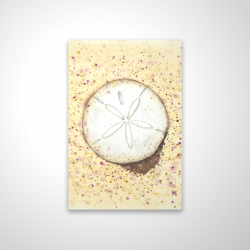 Sand-dollar