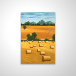 Hay bale fields