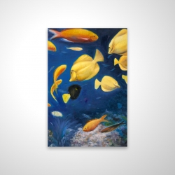Fish under the sea