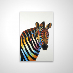 Colorful profile view of a zebra