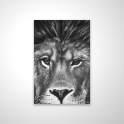 Lion portrait