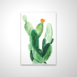 Cactus en fleuraison