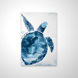 Tortue bleu