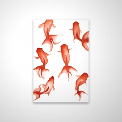 Petits poissons rouge