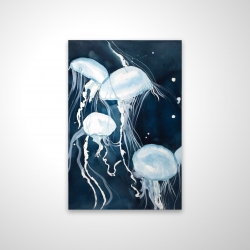 Meduses