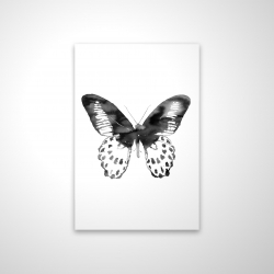 Papillon noir