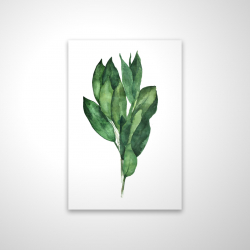 Bouquet de feuilles de laurier