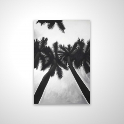 Monochrome palm trees