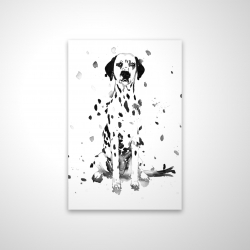 Chien dalmatien