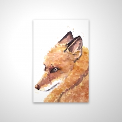 Renard