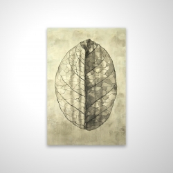 Translucent
