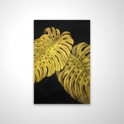 Gold monstera
