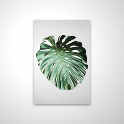 Feuille de monstera