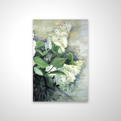 Lilas blanc