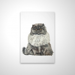 Chat persan gris bleu