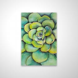 Succulent à l'aquarelle
