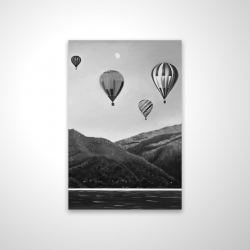 Air balloon landscape