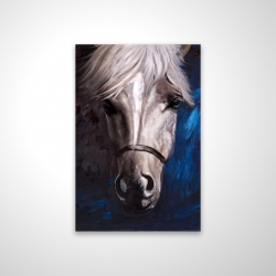 Cheval blanc sur fond bleu