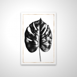 Philodendron à feuilles divisées avec lignes dorées