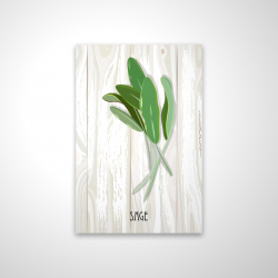 Sage on wood