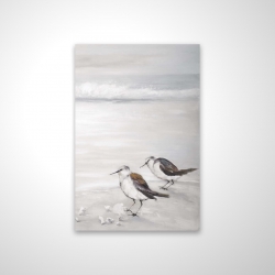 Deux oiseaux bécasseau