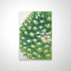 Mini cactus à l'aquarelle