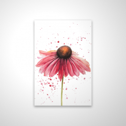 Pink daisy