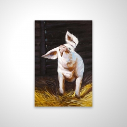 Happy pig