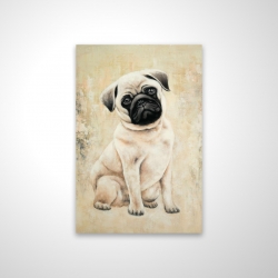 Small pug dog