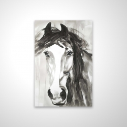 Beautiful wild horse