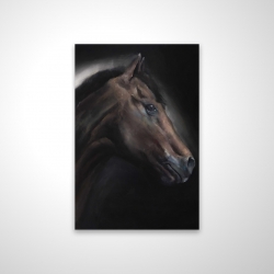 Cheval solitude