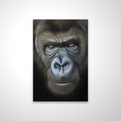 Visage de gorille